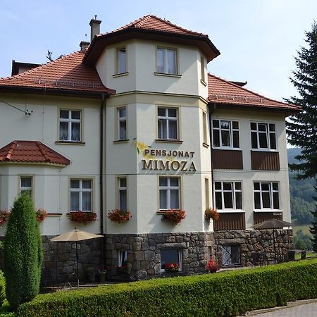 Pensjonat Mimoza Swieradow-Zdroj Exterior photo